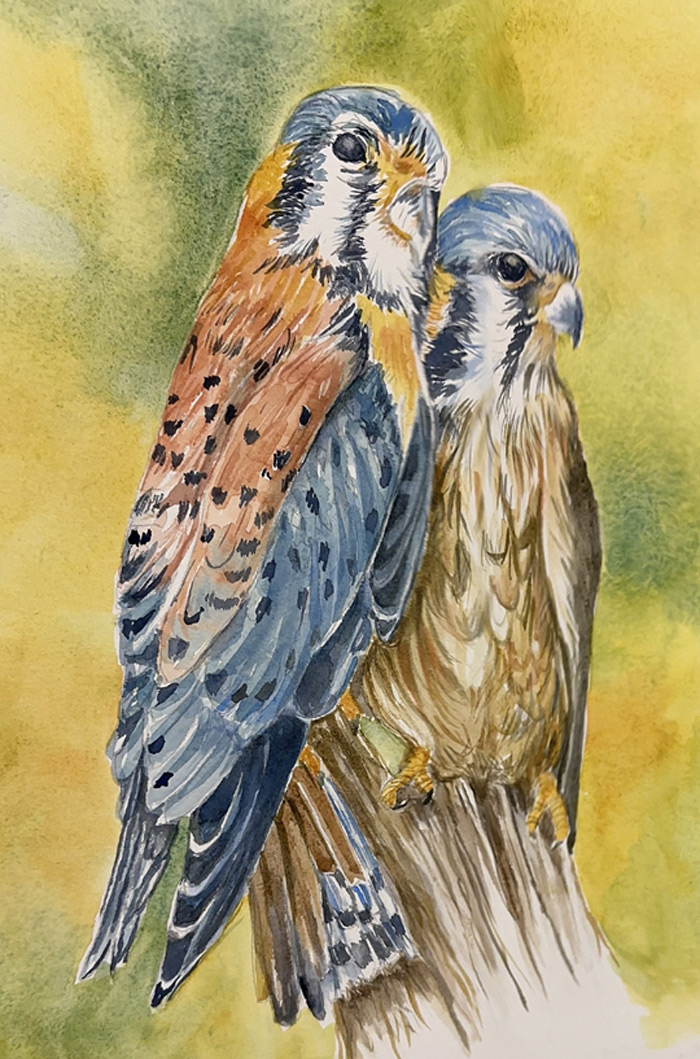 Ken Kestrals Watercolor 12in x 16in -19.5in x 23.5 in Framed