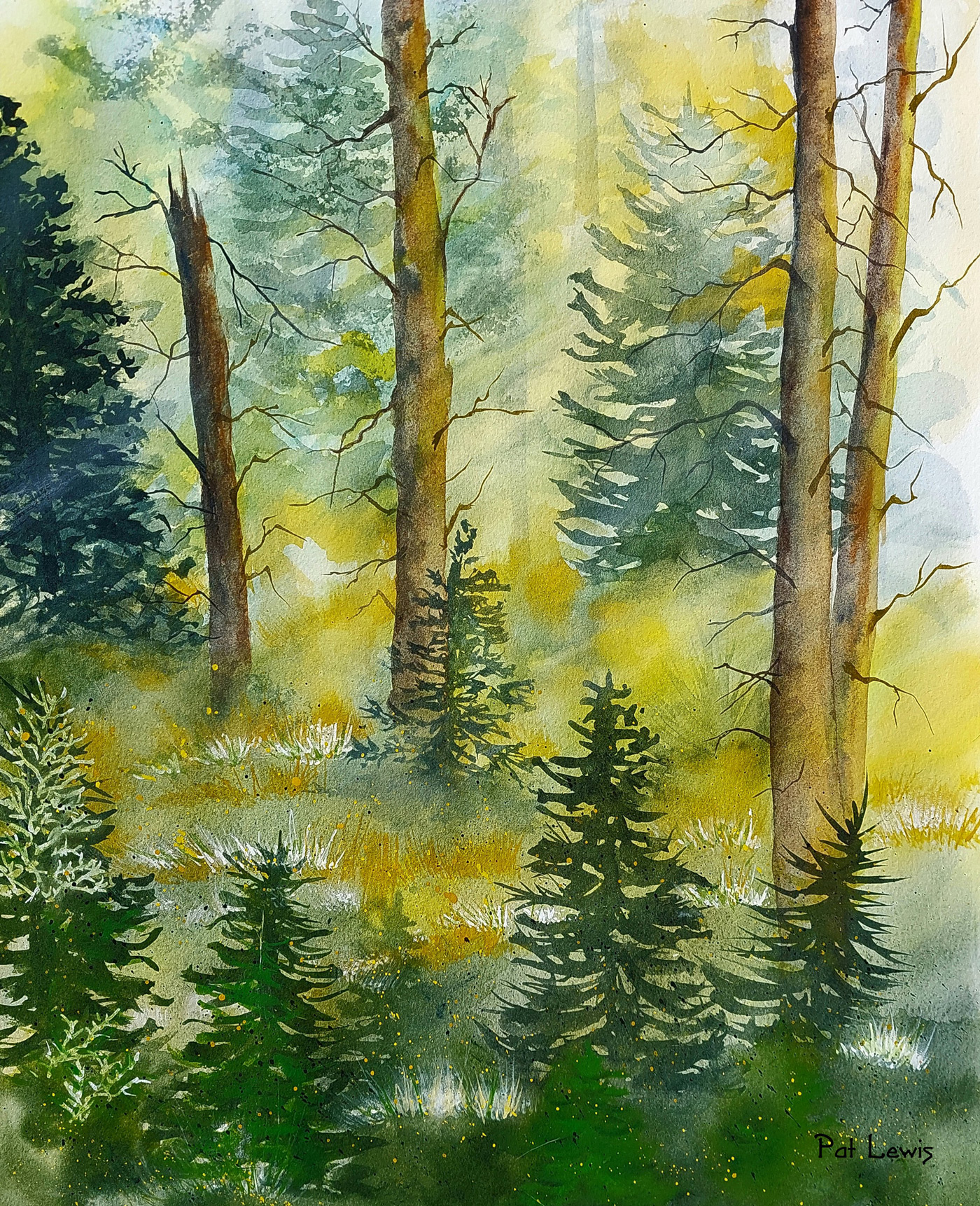 Natures Peace Watercolor 15in x 19in - 22in x 26in Framed