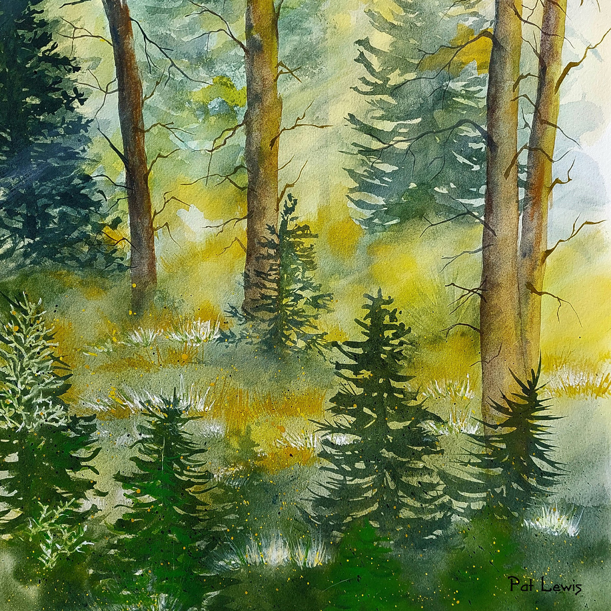 Patricia Lewis - Morgan Hill Artist