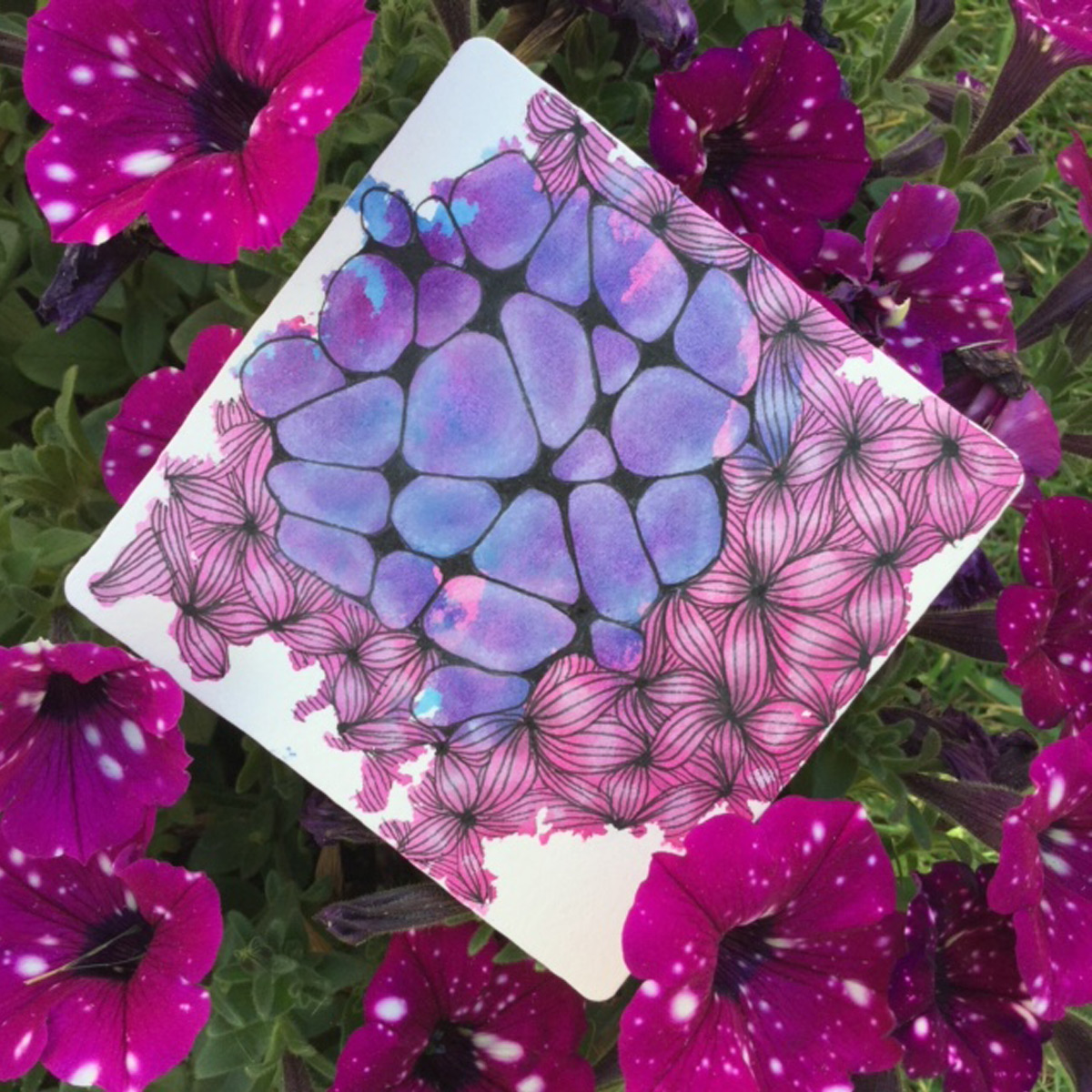 Nancy Domnauer - Morgan Hill Artist